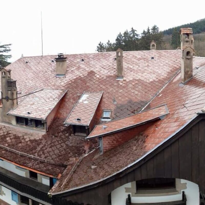 NETTOYAGE_DEMOUSSAGE_TRAITEMENT_TOITURE2 800X800 | Travaux Toiture Haut Rhin Pourquoi un démoussage avant les fortes chaleurs peut prolonger la durée de vie d’une toiture ? Pfastatt 0